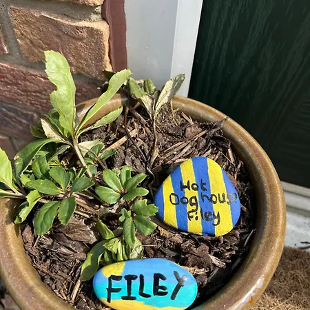 Hotdog House Filey Detached Pet Friendly Eco-house